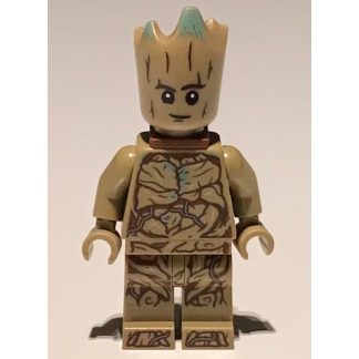 N - fig-013064